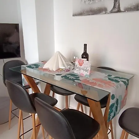 Apartamento Blanca 托雷维耶哈