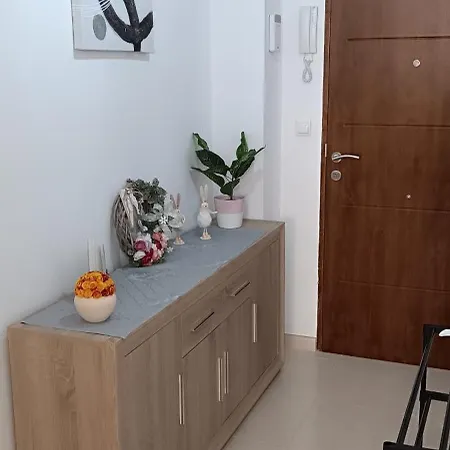 公寓 Apartamento Blanca 托雷维耶哈